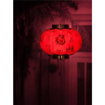 新年春節燈籠大紅水晶發光燈籠帶燈戶外防水元旦福字宮燈裝飾用品