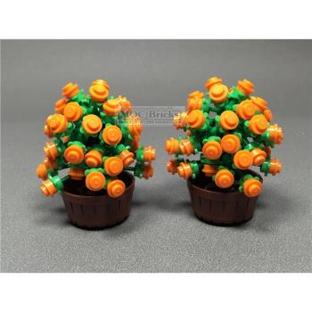 小顆粒積木 DIY創意小擺件 盆景 MOC新年禮物 金錢橘 發財樹 植物