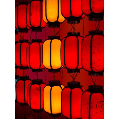 新年中式古風仿羊皮燈籠大紅戶外吊燈中國風陽臺大門口連串宮燈