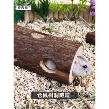 樹洞造景用品原木健身鳥類玩具