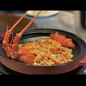 創意網紅日式餐具可干燒砂鍋宮廷煲魚頭煲甲魚煲高端酒店會所餐廳