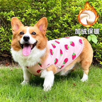 加絨中小型犬寵物用品狗狗衣服