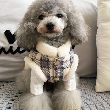 ins寵物狗狗保暖加厚棉服秋冬可牽引泰迪比熊博美小型犬馬甲衣服
