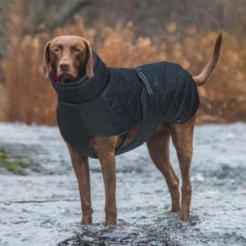 狗狗冬裝威瑪寵物保暖棉衣中大型犬金毛杜賓獵犬戶外防風加厚棉衣