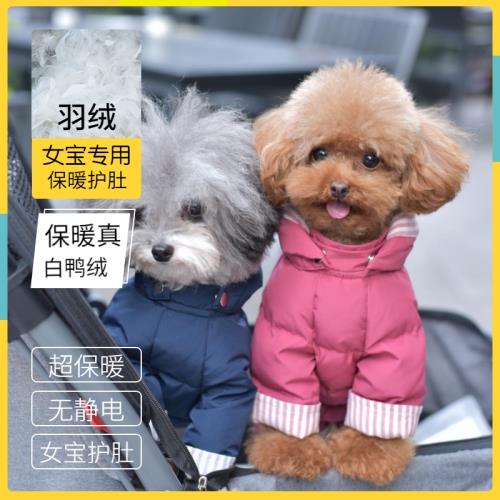 丑丑chouchou寵物公狗裝母狗裝羽絨服加厚保暖泰迪比熊狗衣服冬裝|狗寵物服裝/雨衣|ETMall東森購物網