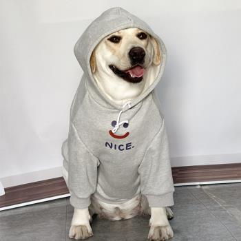狗狗衣服大型犬春秋潮牌拉布拉多衣服金毛保暖衣服狗狗薄款衣服