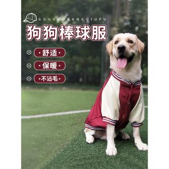 小狗春秋金毛中型犬過年狗狗衣服