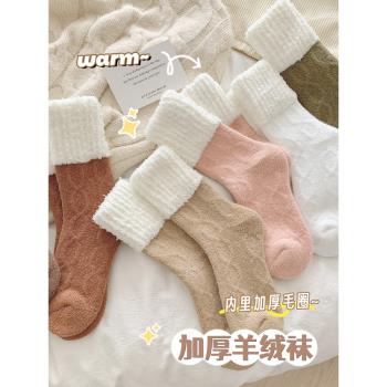 厚襪子女冬季加絨加厚羊毛保暖超厚居家地板睡眠襪冬天毛圈中筒襪