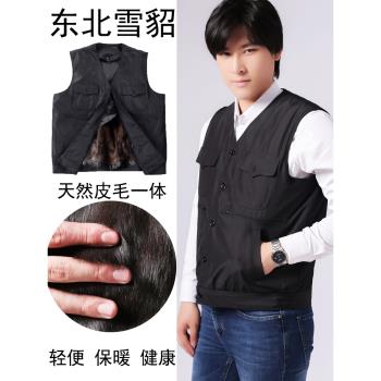 中老年貂皮毛一體馬甲男真皮馬甲冬季防風保暖坎肩男加絨加厚馬甲