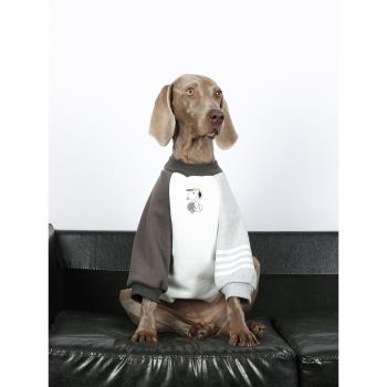 狗狗衣服大型犬秋冬保暖撞色插肩袖金毛拉布拉多邊牧加厚大狗衣服