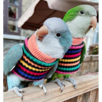 鸚鵡鳥保暖用品牡丹衣服玄鳳八哥鷯哥衣服飛行服針織衫 格桑花