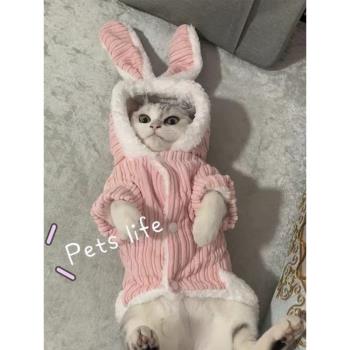 貓咪衣服防掉毛秋冬季保暖可愛連帽四腳衣寵物貓英短布偶加厚棉衣