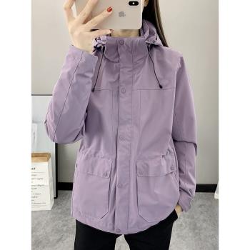 沖鋒衣女款2024新款三合一爬山戶外防風防水定製印logo外套登山服