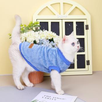 貓咪衣服秋冬裝新款韓版絨衣藍貓英短無毛貓小貓寵物冬季加絨保暖
