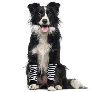 寵物護膝狗狗腳套 大中小型犬腿部保護袖套保暖防止摩擦 金毛護肘