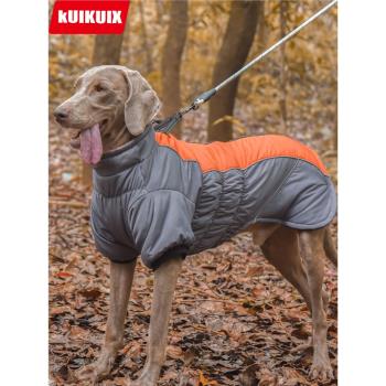 秋冬新款寵物衣服可牽引兩腳狗衣服反光保暖加絨中大型狗寵物服飾