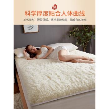 TWETY BIRD高檔羊毛床墊軟墊家用床褥秋冬季加厚保暖羊羔絨毛毯子
