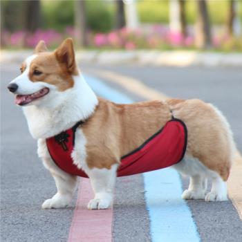 法鬥柴犬柯基犬狗狗雨天肚兜防著涼保暖狗衣服防水加絨護腹分公母