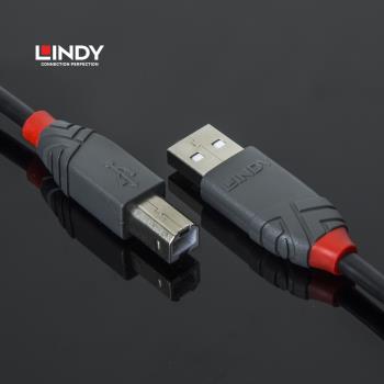加長德國LINDY USB2.0打印機