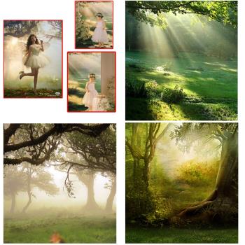 兒童拍照森林背景布影樓少女寫真樹林精靈背景布夢幻森系攝影背景