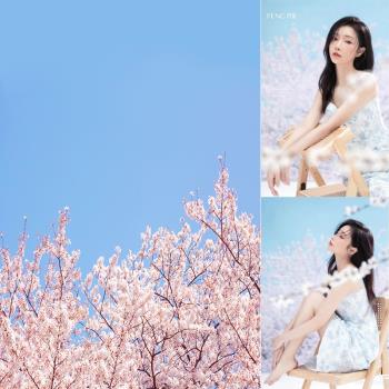 時裝商業服裝拍攝藍天櫻花少女寫真婚紗影樓攝影數碼噴繪背景布