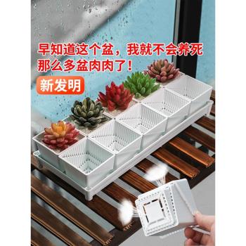 美蒔多肉專用花盆2021新款小號塑膠透氣組合植物控根四方底託託盤