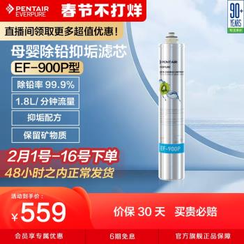 愛惠浦everpure凈水器濾芯凈水機耗材自來水過濾器配件EF-900P