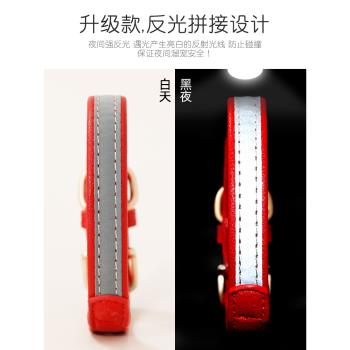 刻字防丟狗狗項圈貓咪鈴鐺脖圈狗牌中小型犬貓牌寵物吊牌貓圈狗圈