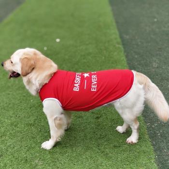 小狗狗背心夏季薄款馬甲春秋貓咪寵物衣服柴犬中型犬冰絲泰迪比熊