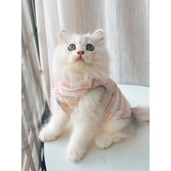 貓咪衣服防掉毛布偶英短寵物夏天藍貓小貓狗狗的背心貓貓薄款夏季