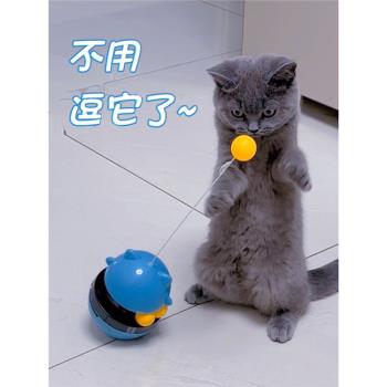 貓玩具球自嗨解悶不倒翁逗貓棒貓轉盤小貓咪寵物貓貓消耗體力用品