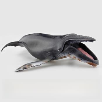 關節海洋動物兒童益智玩具鯊魚