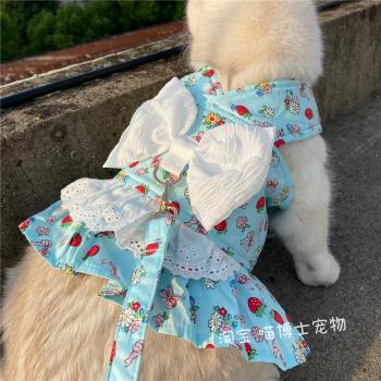 衣服蕾絲背帶幼貓比熊寵物狗狗