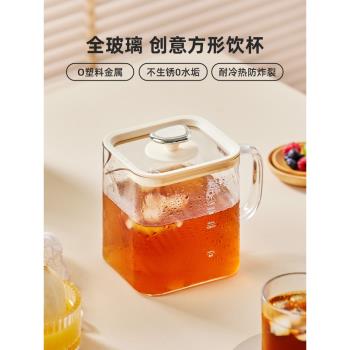巴森全玻璃養生壺家用多功能煮茶器小型辦公室花茶壺小方燉D1plus