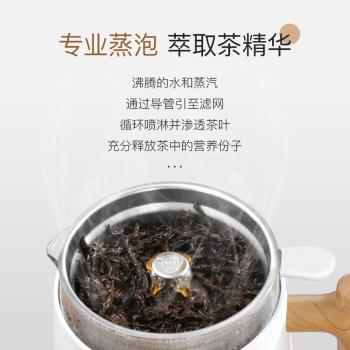 養生壺mini小型噴淋式蒸煮茶壺2023新款煮茶器網紅保溫燒水一體機