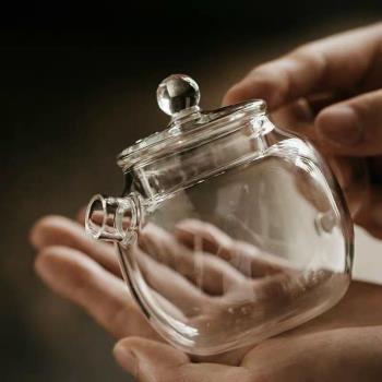 玻璃小壺小巨輪養生泡茶壺耐熱玻璃帶蓋壺