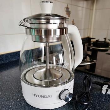 HYUNDAI 煮茶器家用全自動蒸汽煮茶壺黑茶蒸茶器小型辦公室玻璃