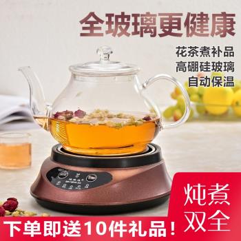 耐高溫養生壺加厚全玻璃茶壺套裝迷你多功能電熱燒水壺家用煮茶器