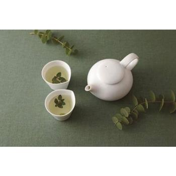 深山窯miyama colon 陶瓷 茶壺茶杯 茶具