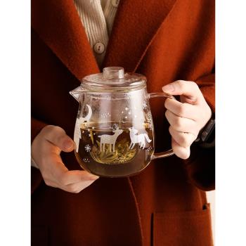 藍蓮花玻璃茶壺耐高溫泡茶高硼硅水壺家用透明花茶壺日式冷水壺