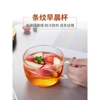 美斯尼家用大容量燕麥玻璃泡茶杯