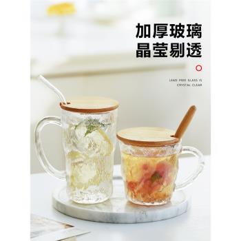 冰川紋帶蓋勺把手宿舍喝水玻璃杯