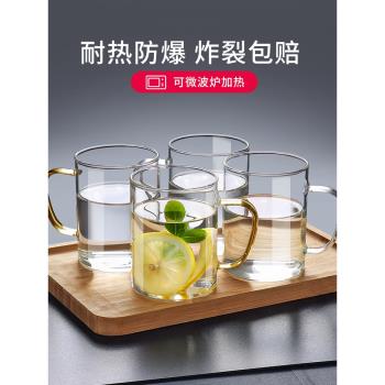 杯子高硼矽玻璃杯透明牛奶杯耐熱泡茶杯男女喝水咖啡杯啤酒杯水杯