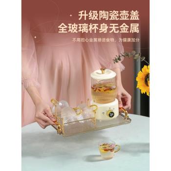 養生壺電燉杯辦公室迷你玻璃茶杯全自動煮茶燒水杯多功能家用保溫