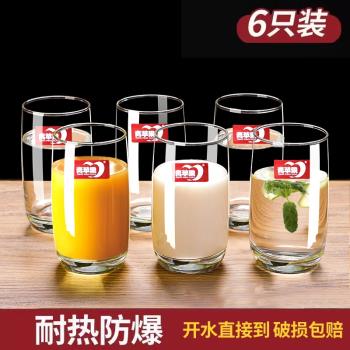 青蘋果家用透明玻璃杯子套裝耐熱牛奶果汁杯喝水泡茶杯啤酒杯無蓋