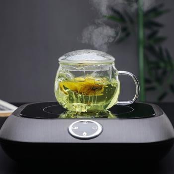 帶蓋漏耐熱玻璃水透明手工花茶杯