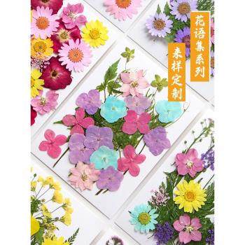 壓花寫真乾花diy材料押花書簽畫滴膠手機殼押花植物標本玫瑰真花