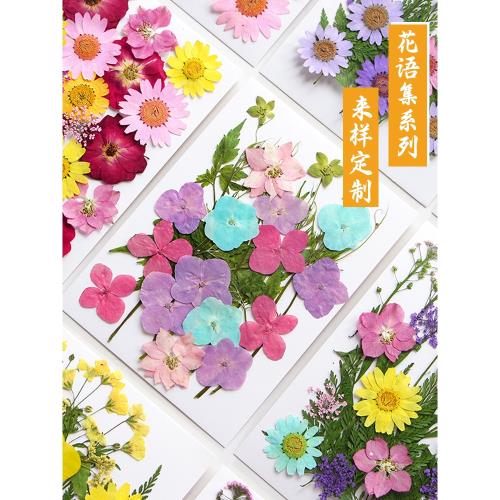 壓花寫真干花diy材料押花書簽畫滴膠手機殼押花植物標本玫瑰真花