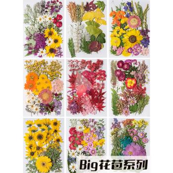 六一兒童節手工製作乾花壓花diy材料包天然樹葉植物標本書簽滴膠