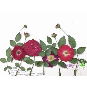 創意香薰蠟片蠟燭手機殼 玫瑰干花兒童DIY手工 植物相框 拍攝道具
